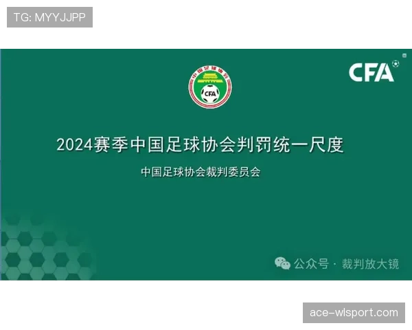 体育道德在足球规则中的具体要求与裁判判罚尺度